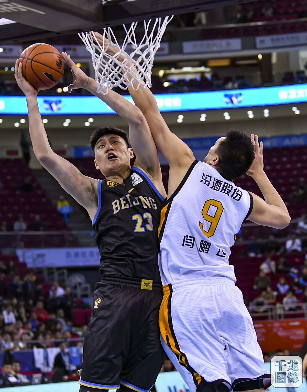 莫雷加德失利后喊话樊振东：欧冠联手冲冠